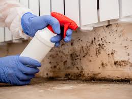  , USA Mold Inspection Pros